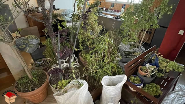 Débarras encombrants, vide logement ou bureaux